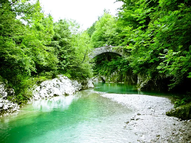 Napoleon's Bridge