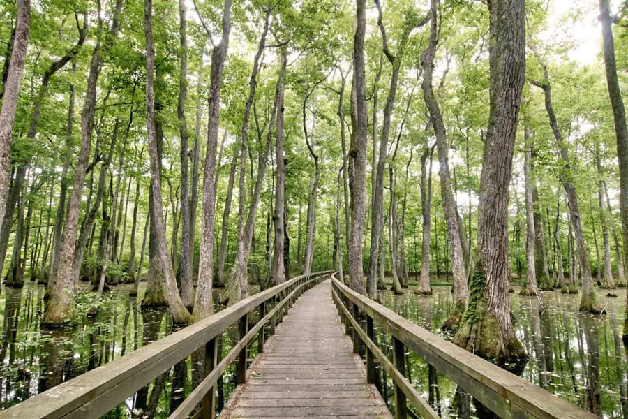 Natchez Trace Parkway