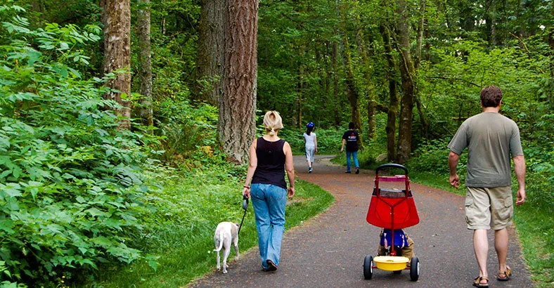 Nathan Chapman Memorial Trail