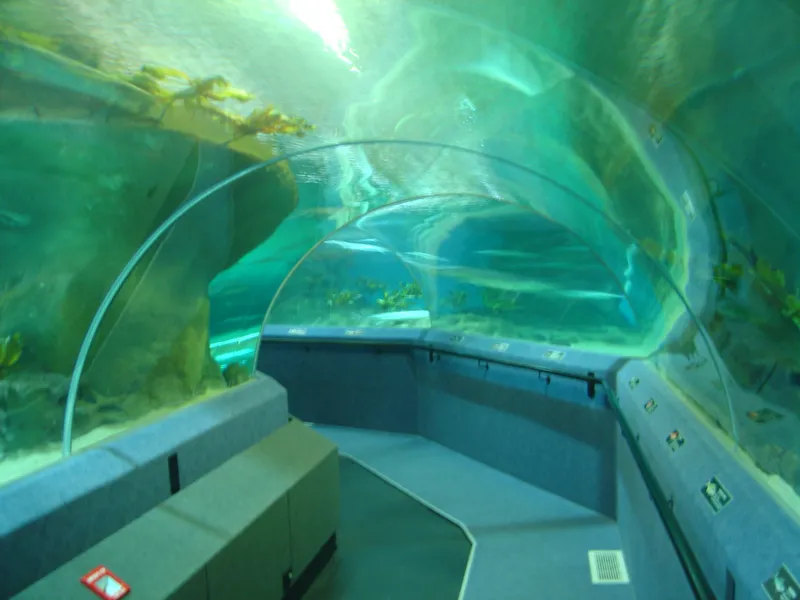 National Aquarium of New Zealand