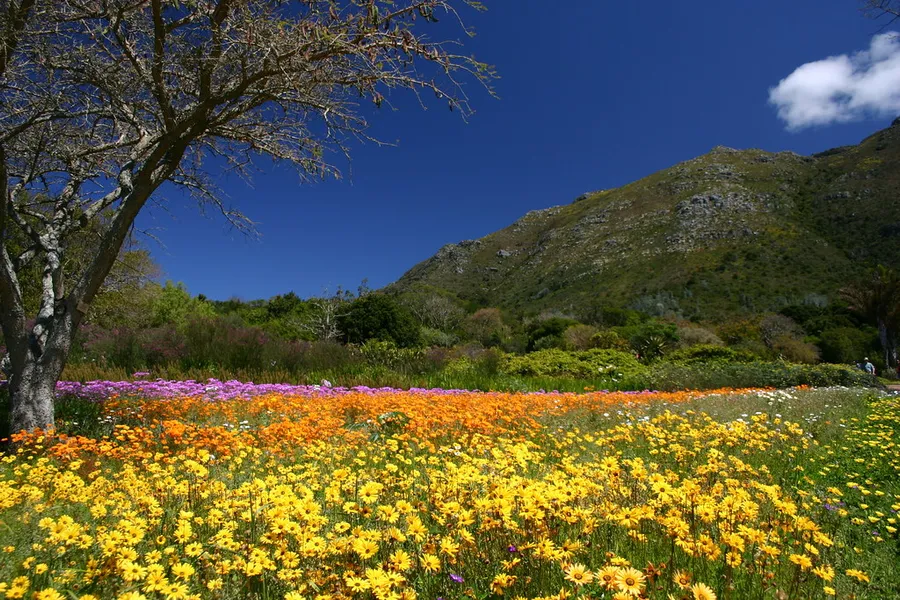 National Botanic Garden of Namibia