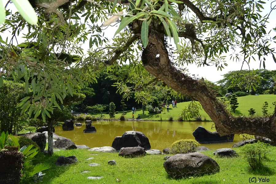 National Botanical Garden