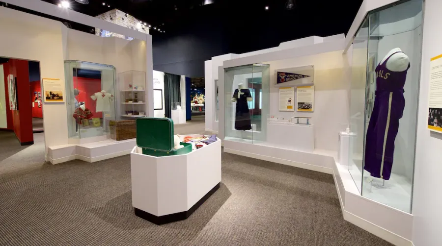 National Czech & Slovak Museum & Library