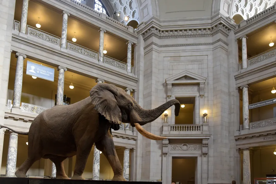 National Geographic Museum