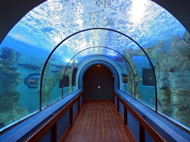 National Marine Aquarium of Namibia