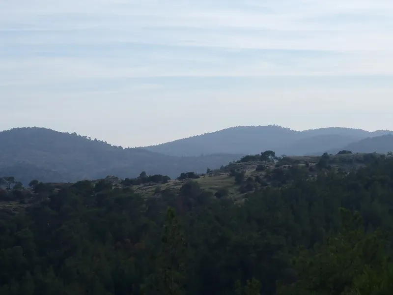 National Park of Dadia-Lefkimi-Soufli