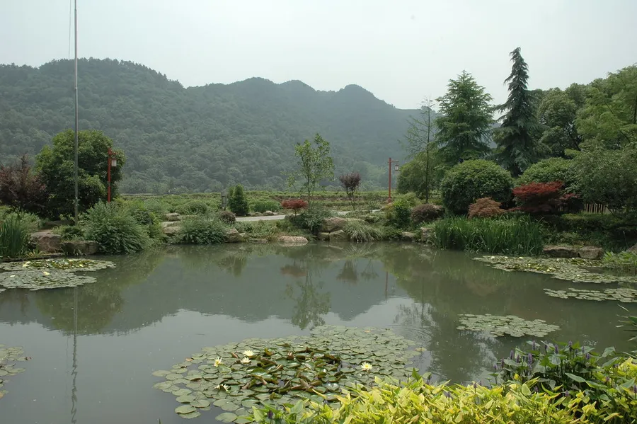 National Tea Museum