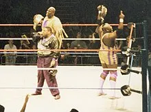 National Wrestling Hall of Fame
