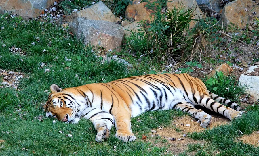 National Zoo and Aquarium