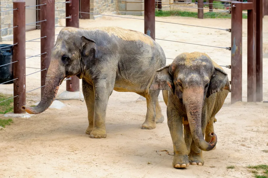 National Zoological Park