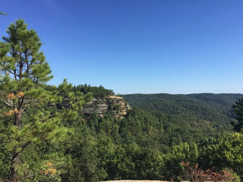 Natural Bridge State Resort Park