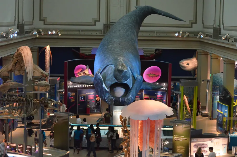 Natural History Museum Chemnitz