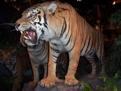 Natural History Museum of Geneva