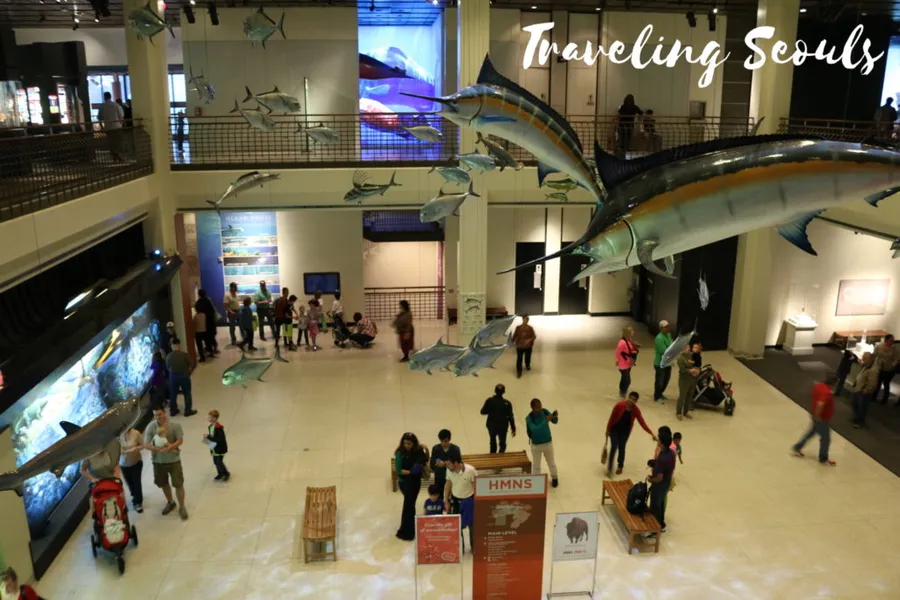 Natural Science Museum