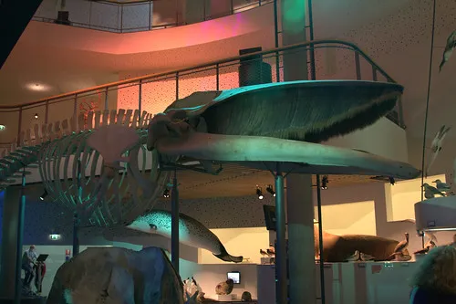 Naturama