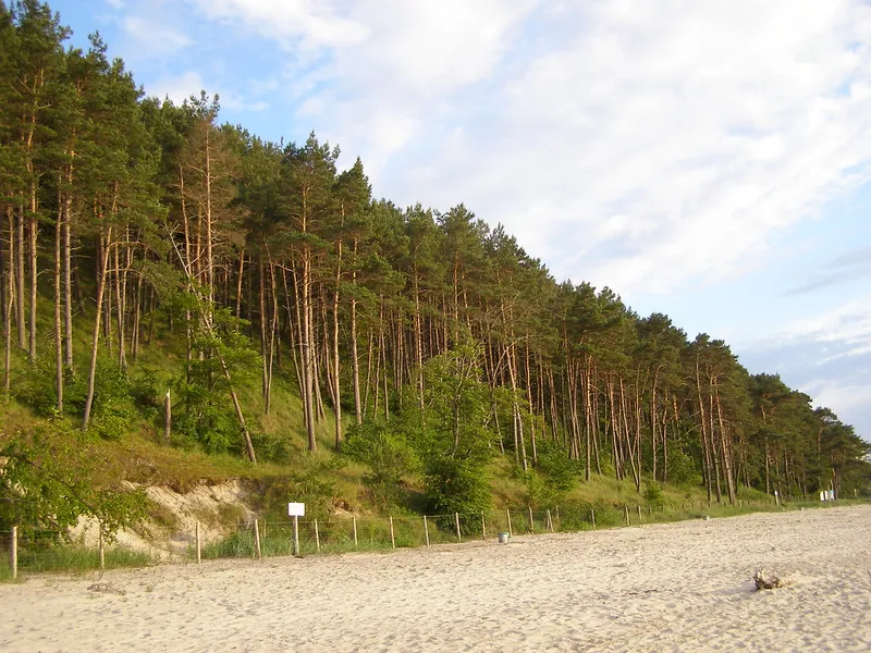 Nature Museum of Woliński National Park