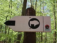 Nature Museum of Wolin National Park