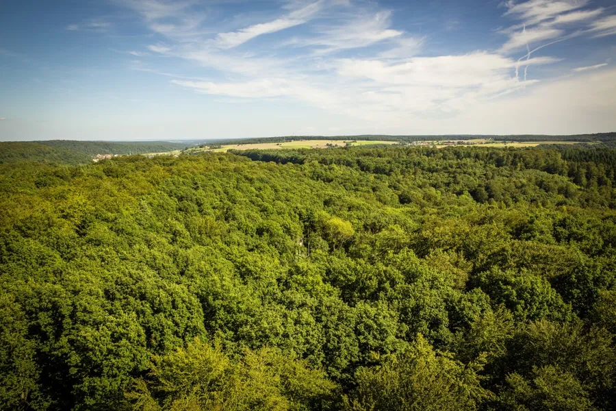 Nature Park Czech Canada