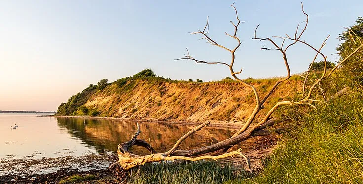 Nature Reserve Holnis