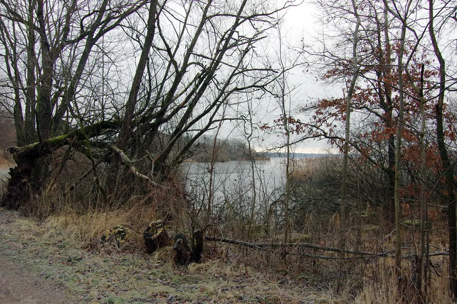 Nature Trail Around Trebon
