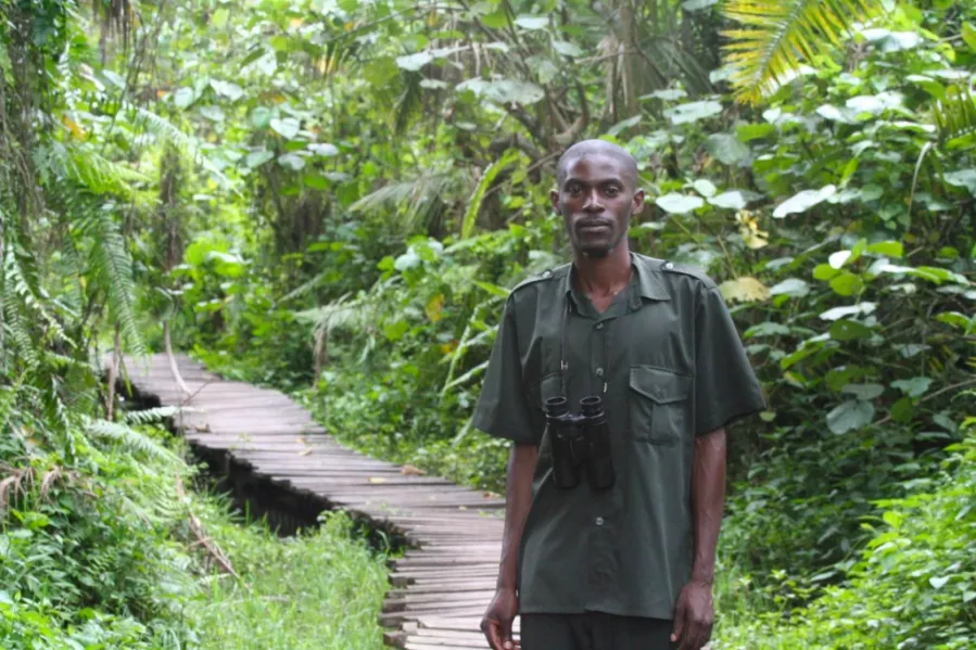 Nature Walk in Kibale National Park