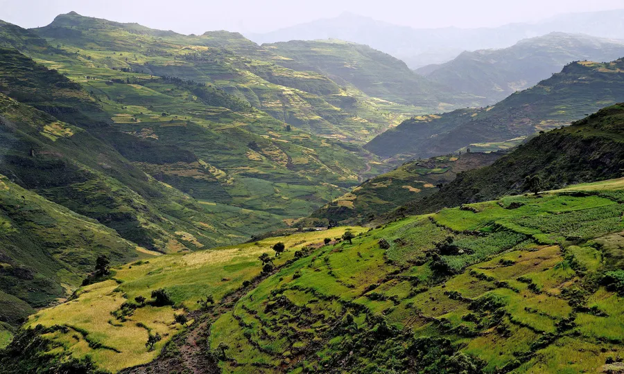 Nature and Hiking around Addis Ababa
