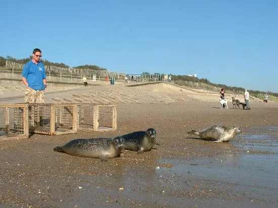 Natureland Seal Sanctuary