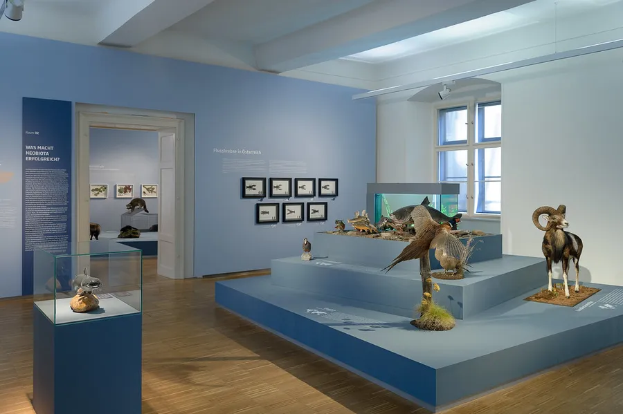 Naturkundemuseum Coburg