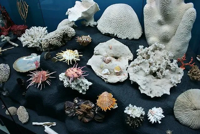 Naturmuseum Augsburg