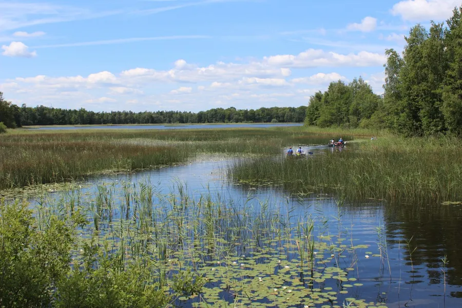 Naturreservatet Hållet
