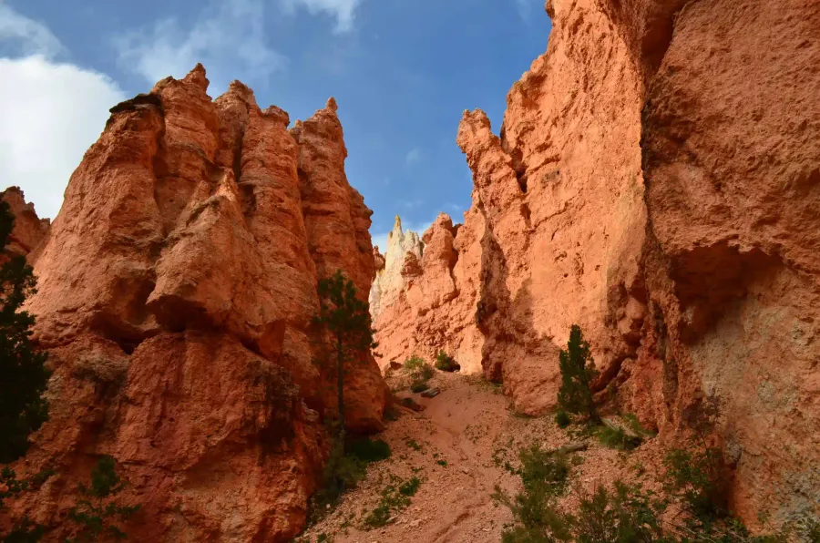 Navajo Loop Trail