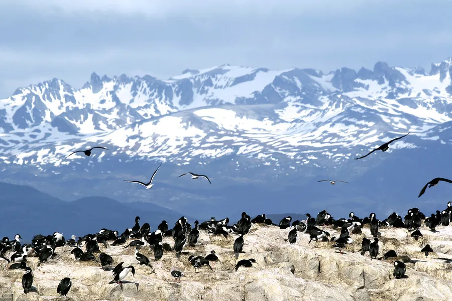 Navarino Wildlife Area