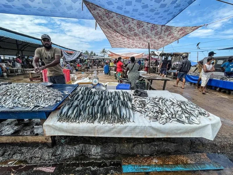Negombo Fish Market