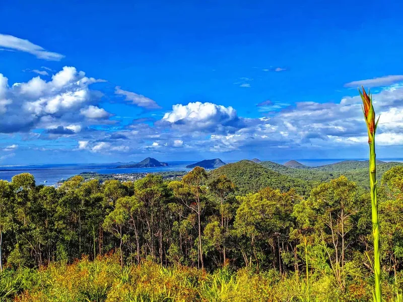 Nelson Bay