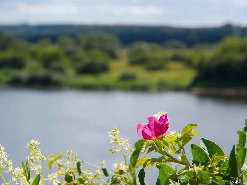 Nemunas Delta Regional Park