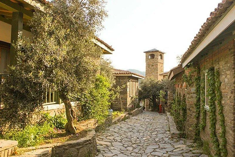 Nesin Mathematics Village