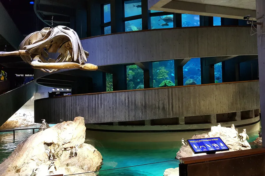 New England Aquarium