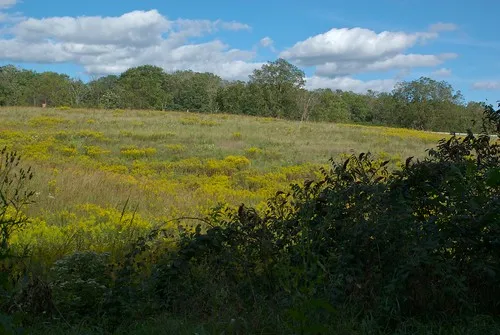 New Glarus Woods State Park