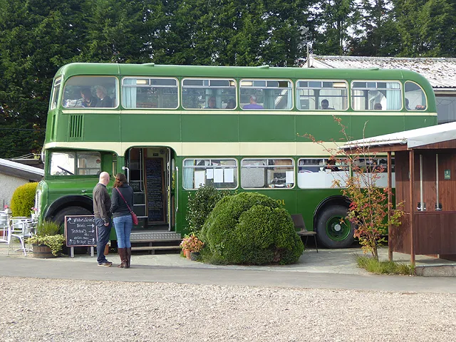 New Quay Honey Farm