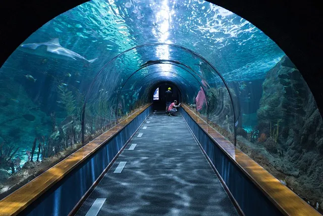 New Yashima Aquarium