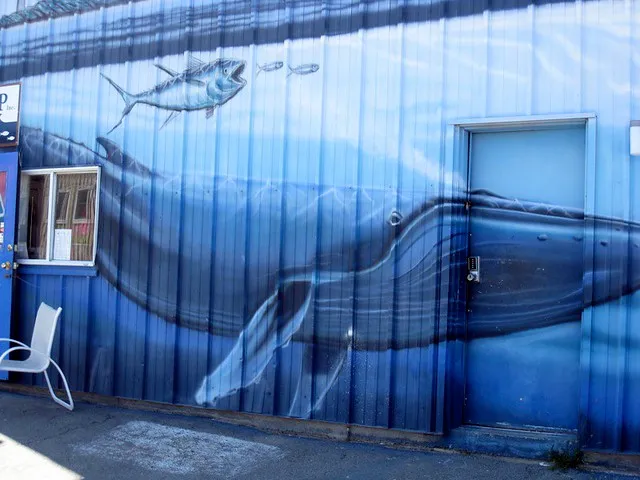 Newburyport Whale Watch