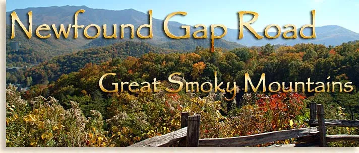 Newfound Gap Road