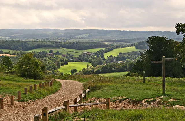 Newlands Corner