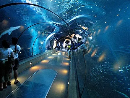 Newport Aquarium