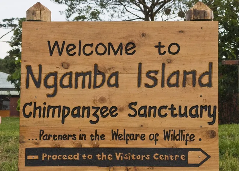 Ngamba Island Chimpanzee Sanctuary