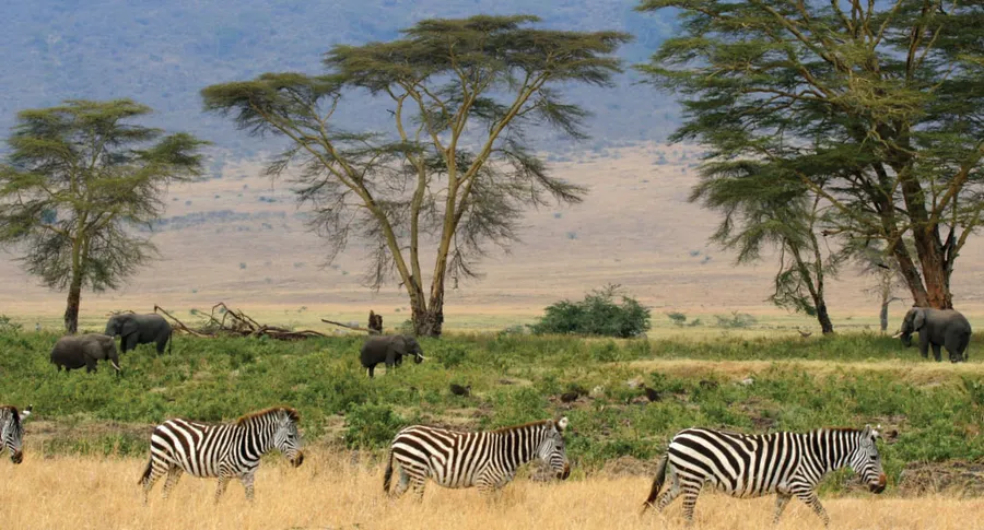Ngorongoro Conservation Area