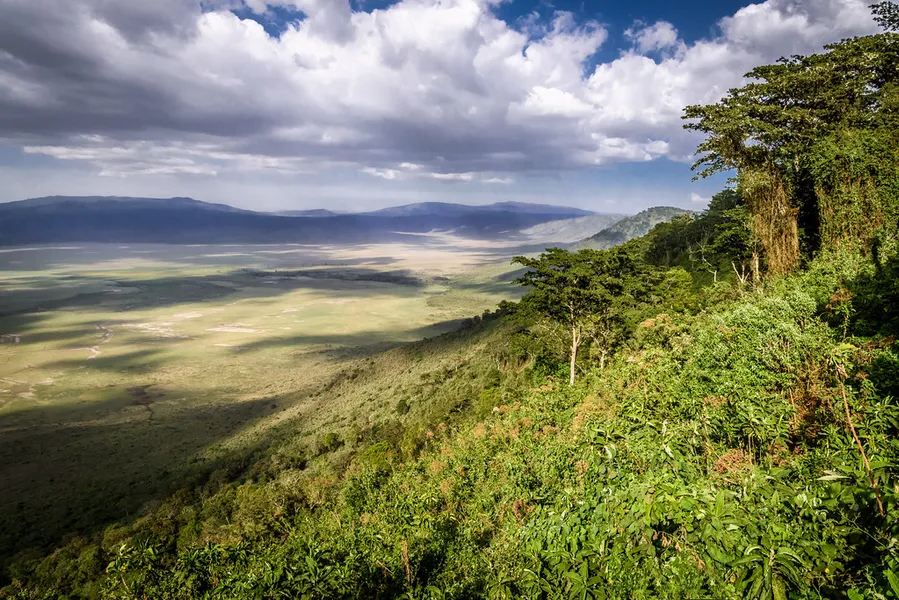 Ngorongoro Crater