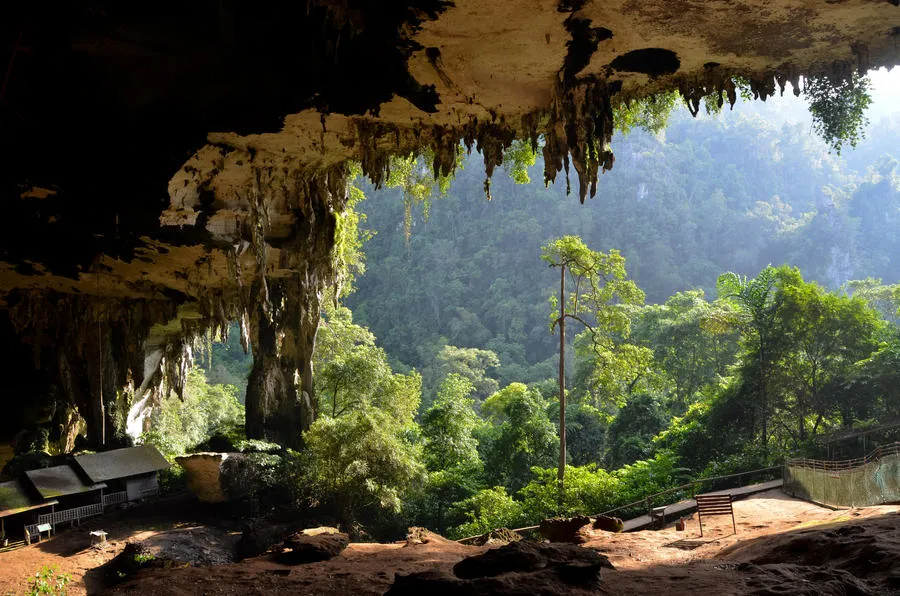 Niah National Park