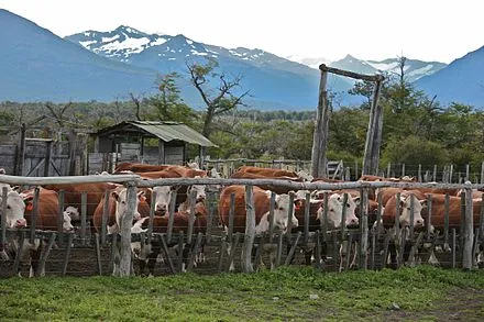 Nibepo Aike Ranch