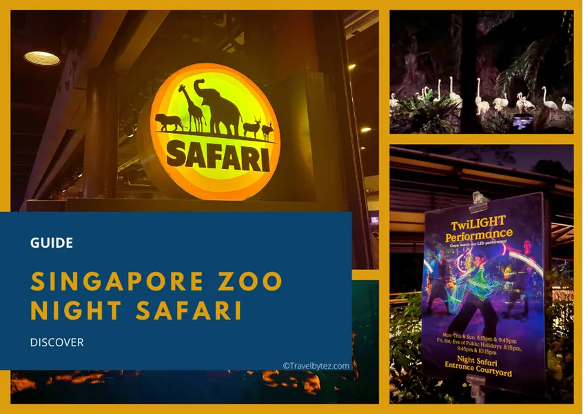 Night Safari